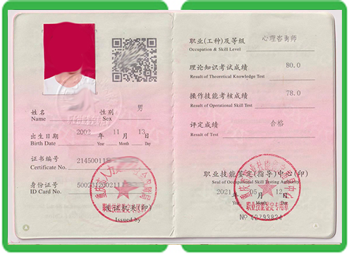 专业证书定制有哪些种类?5大主流类型全解析